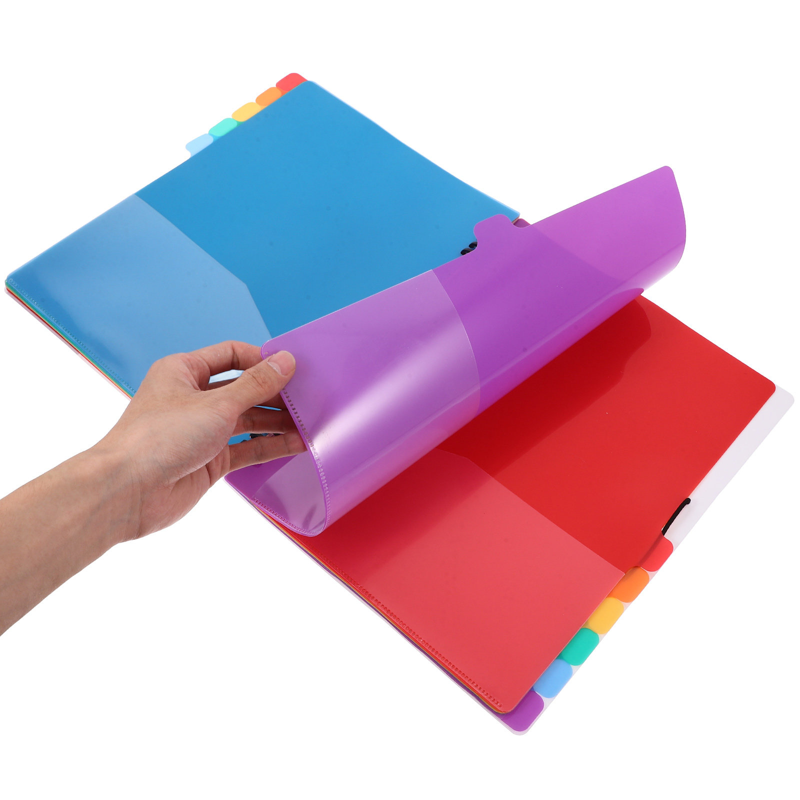 A4 Document Organizer Folder w - Tab Divider A4 评论和价格