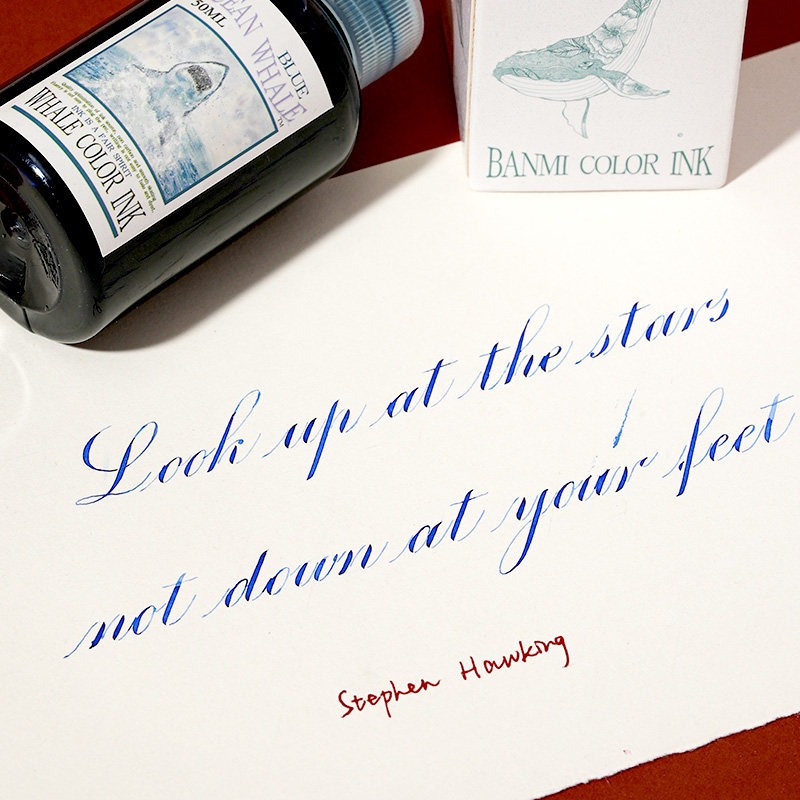 Banmi Whale Series Fountain Pe - Fountain Pen Bottled Ink 评论和价格