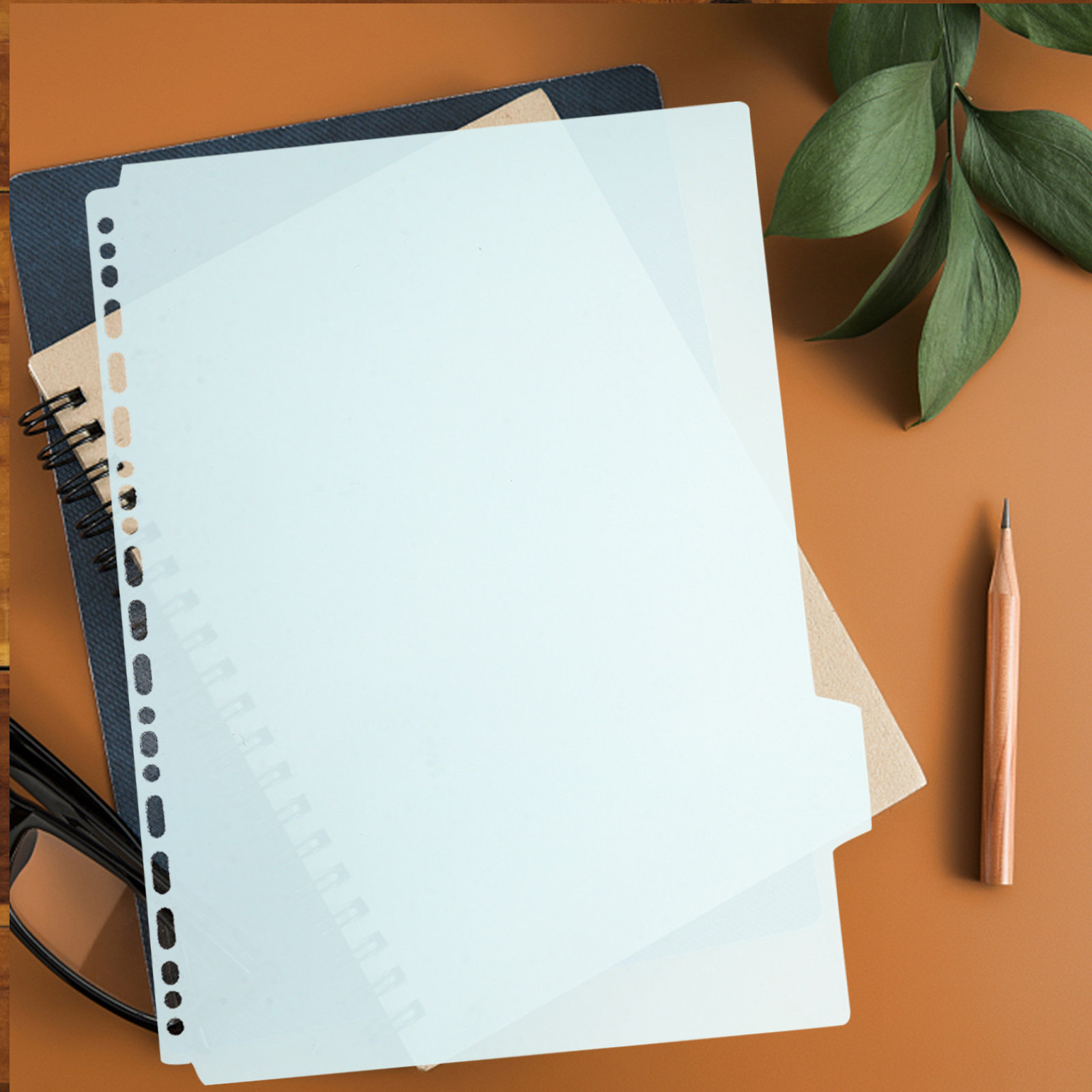 6Pcs File Binder Tabbed Divide - Tab Divider A4 评论和价格