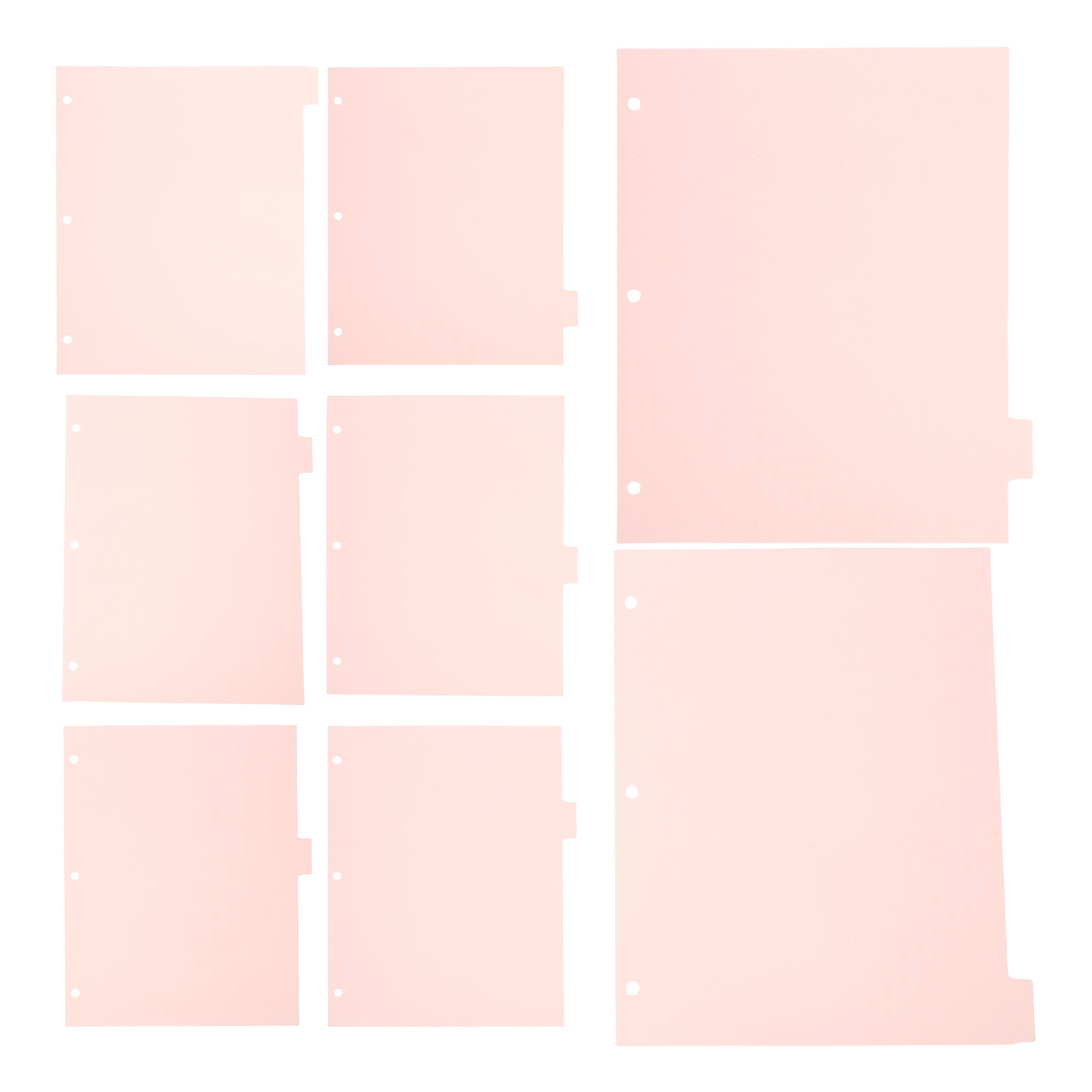 8Sheets Strong Sturdy Binder D - Tab Divider A4 评论和价格