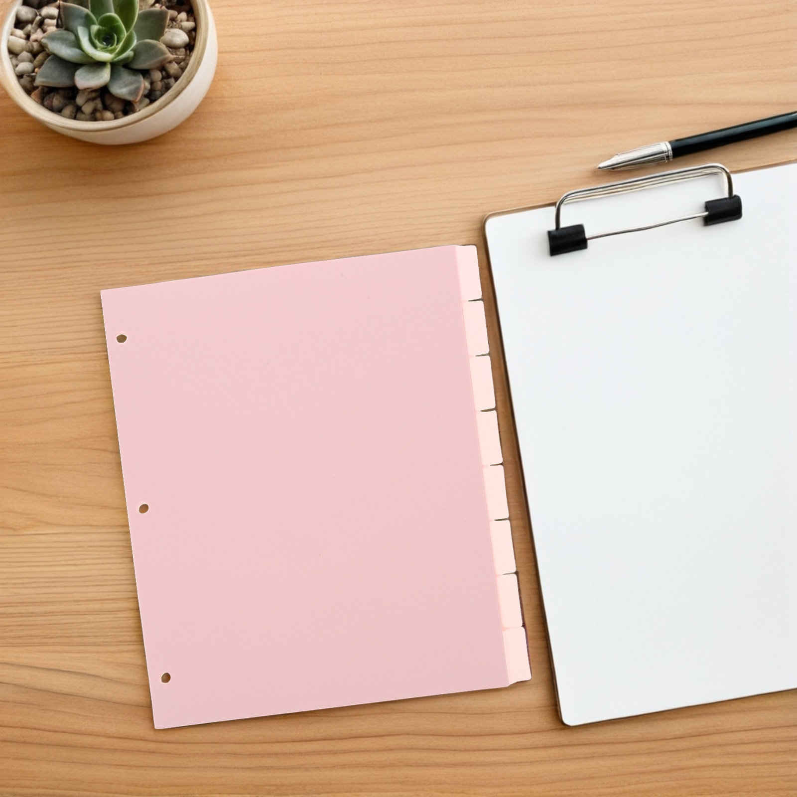 8Sheets Strong Sturdy Binder D - Tab Divider A4 评论和价格
