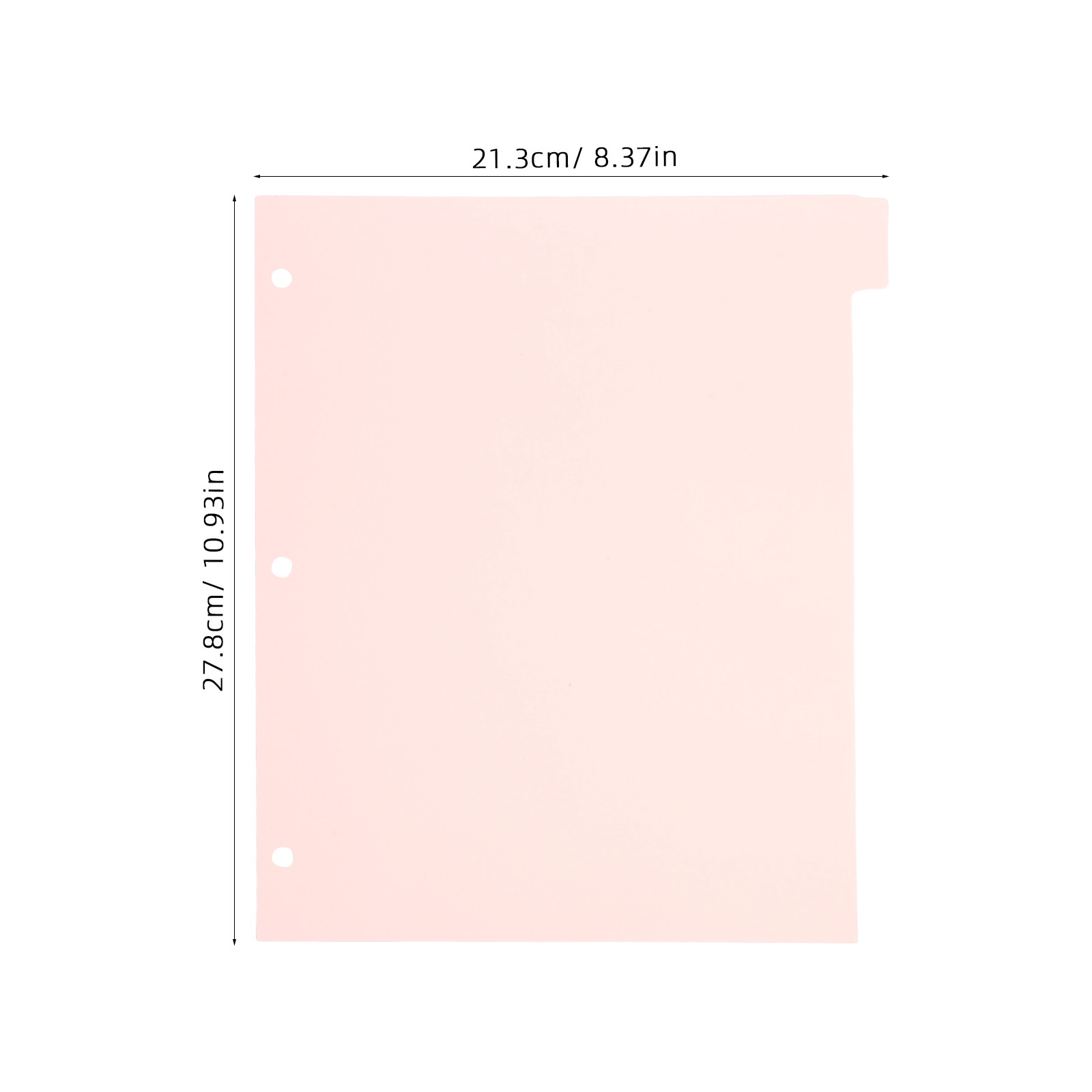 8Sheets Strong Sturdy Binder D - Tab Divider A4 评论和价格