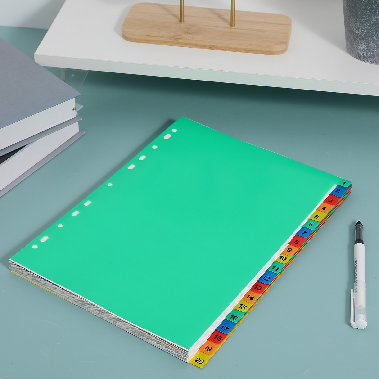 20 Pages A4 Colorful Plastic T - Tab Divider A4 评论和价格